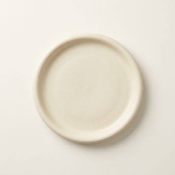 Terra Dinner Plate