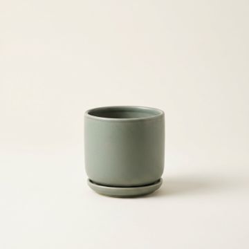 Gro Desktop Planter
