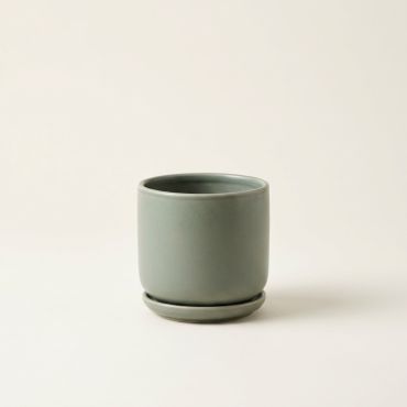 Gro Desktop Planter